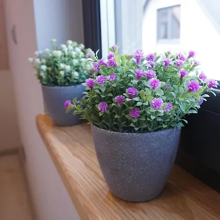 Goscinny Zakatek بيت للعطل