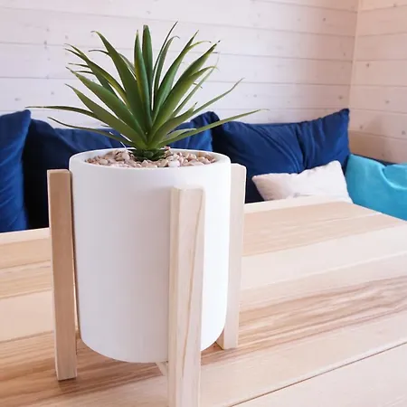 Goscinny Zakatek Chłopy