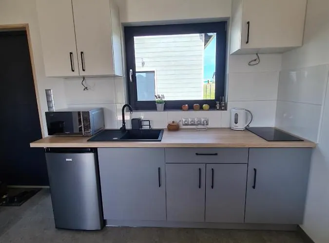 Goscinny Zakatek Сasa de vacaciones Chłopy