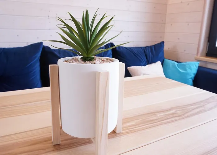 Goscinny Zakatek Chłopy